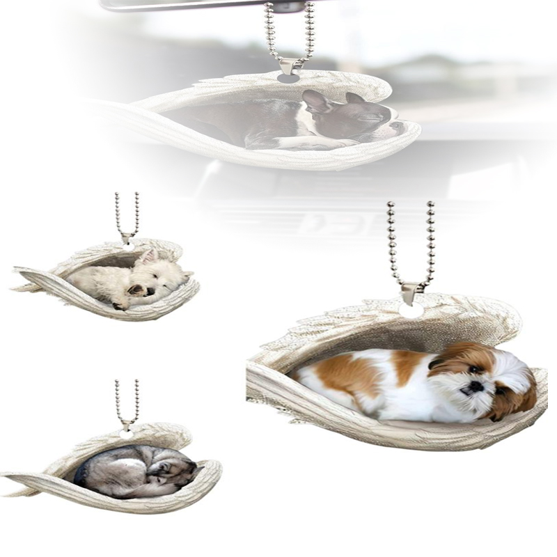 1*Creative Sleeping Angel Wing - Car Accessories Mirror Hanging recensie en prijs