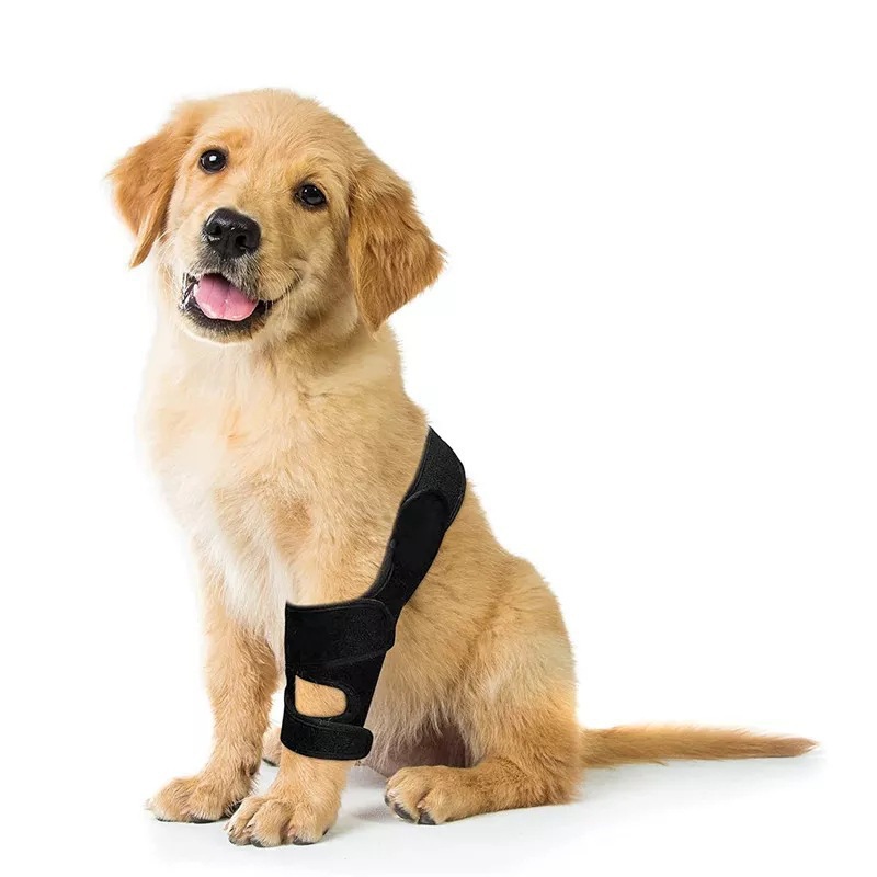 Adjustable Pet Dog Knee Brace  - Car Accessories For Elderly recensie en prijs