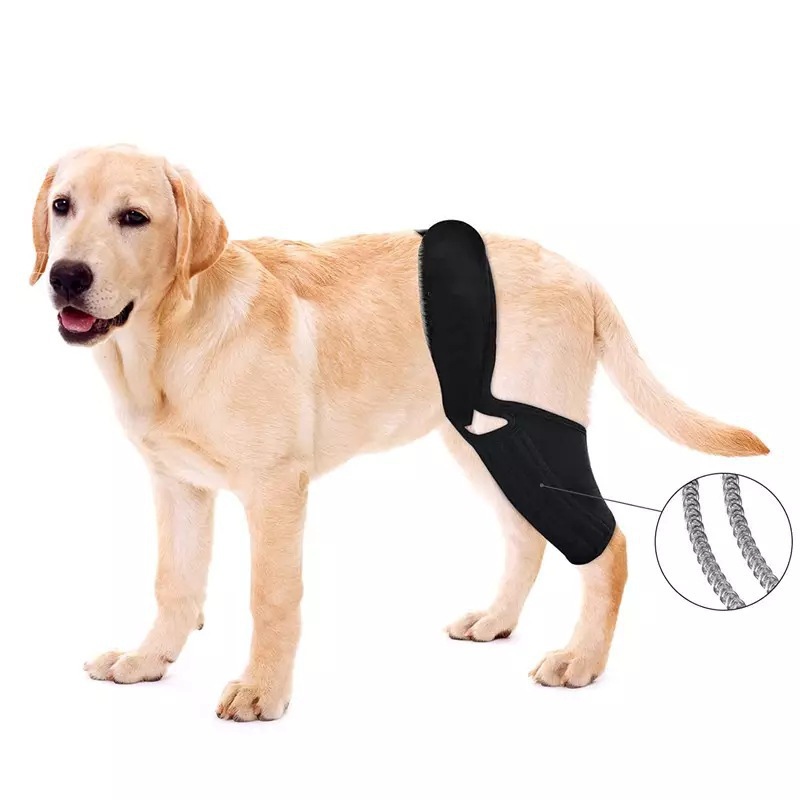 Adjustable Pet Dog Knee Brace  - Car Accessories For Elderly recensie en prijs