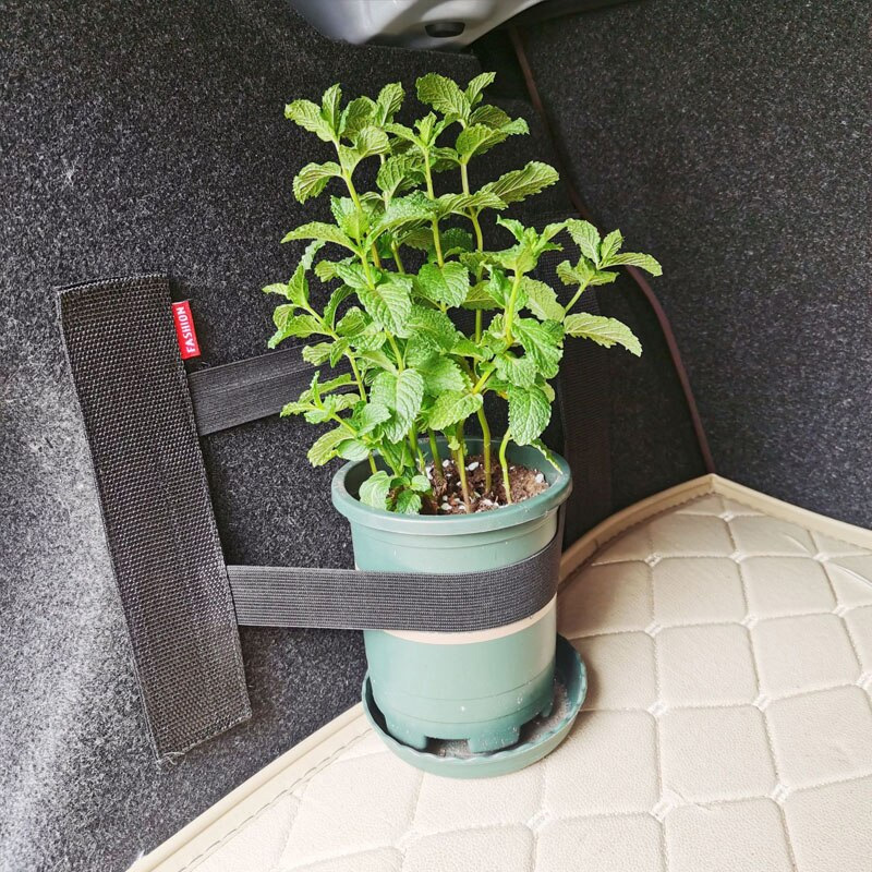 Car Trunk Elastic Mesh Fixed S - Car Cargo Net Trunk recensie en prijs